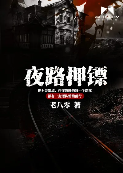 《夜路押镖》小说封面
