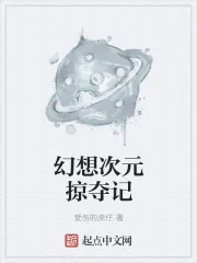 《幻想次元掠夺记》小说封面