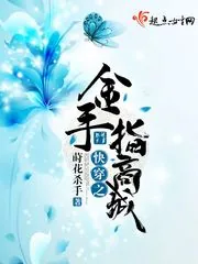 《快穿之金手指商城》小说封面