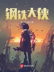 《钢铁大侠》小说封面