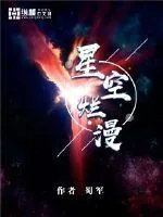 《星空烂漫》小说封面