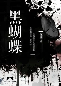 《黑蝴蝶》小说封面