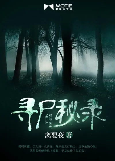 《寻尸秘录》小说封面