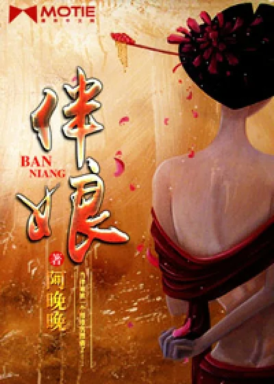 《伴娘》小说封面