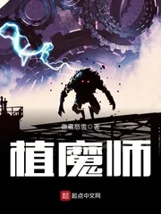 《植魔师》小说封面