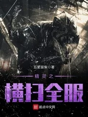《精灵之横扫全服》小说封面