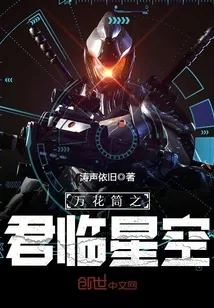 《万花筒之君临星空》小说封面