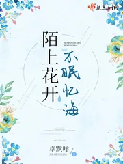 《陌上花开不眠忆海》小说封面