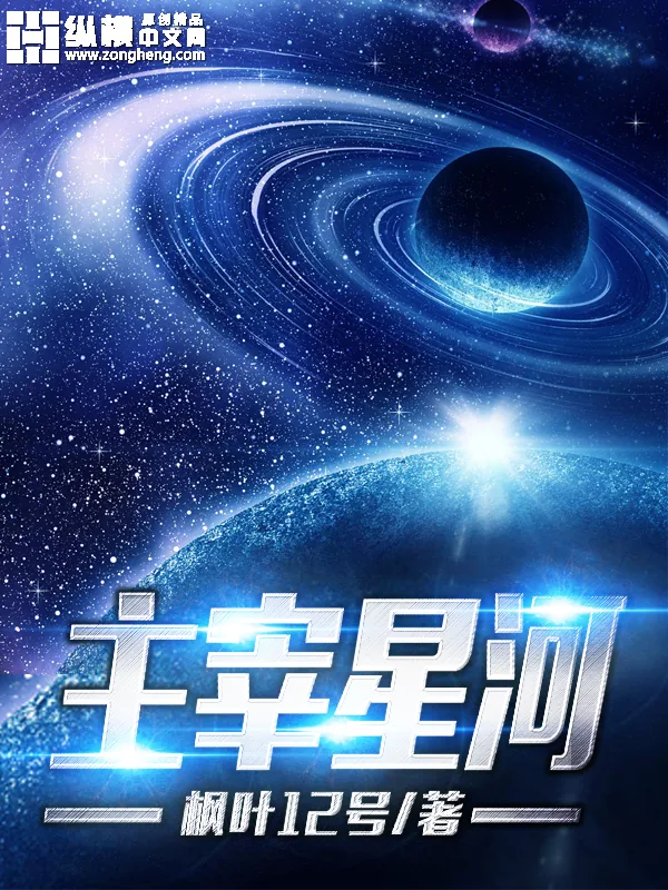 《主宰星河》小说封面