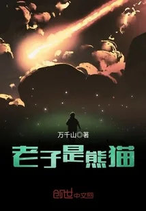 《老子是熊猫》小说封面