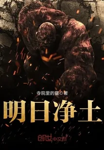 《明日净土》小说封面