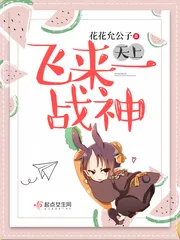 《天上飞来一战神》小说封面
