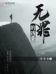 《无罪的凶手》小说封面