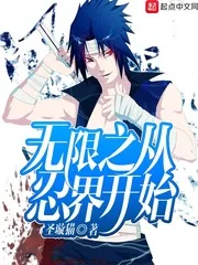 《无限之从忍界开始》小说封面