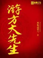 《游方大先生》小说封面