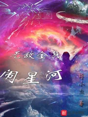 《无敌金身闹星河》小说封面