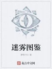 《迷雾图鉴》小说封面