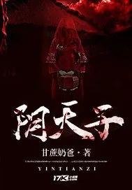 《阴天子》小说封面