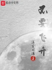 《不要飞升》小说封面