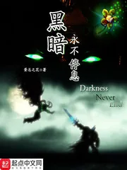 《黑暗永不停息》小说封面