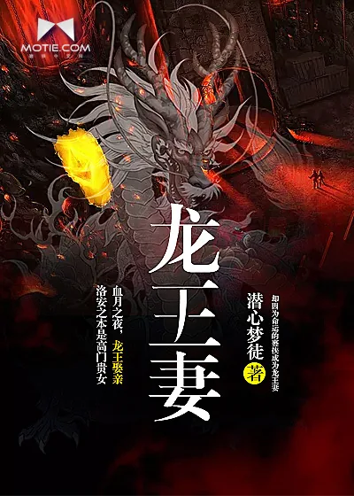 《龙王妻》小说封面