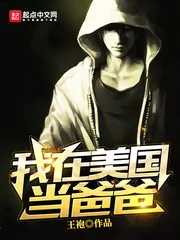 《我在美国当爸爸》小说封面