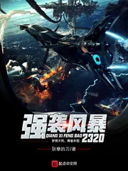 《强袭风暴2320》小说封面