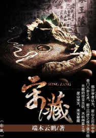 《宋藏》小说封面