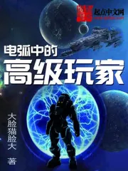 《电弧中的高级玩家》小说封面