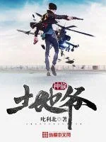 《神偷土地爷》小说封面