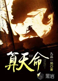 《算天命》小说封面