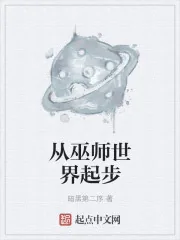 《从巫师世界起步》小说封面