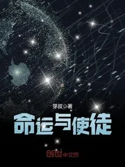 《命运与使徒》小说封面