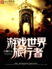 《游戏世界旅行者》小说封面
