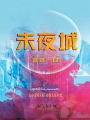 《未夜城》小说封面