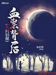 《人间泪根，血案背后》小说封面