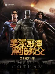 《美漫之哥谭黑暗教父》小说封面
