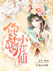 《你好啊小花仙》小说封面
