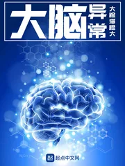 《大脑异常》小说封面
