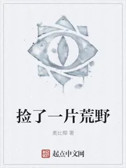 《捡了一片荒野》小说封面