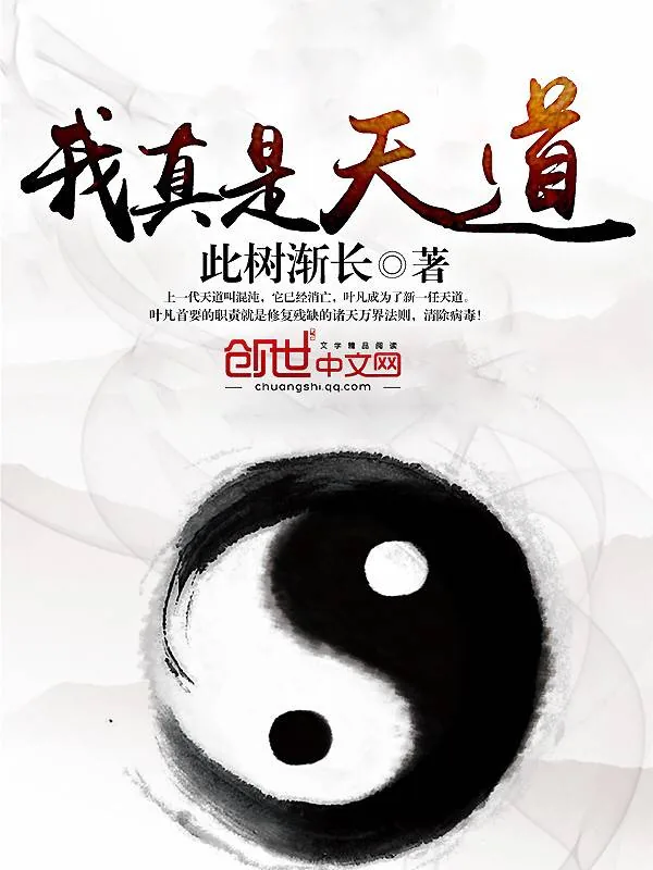 《我真是天道》小说封面