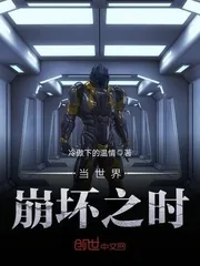 《当世界崩坏之时》小说封面
