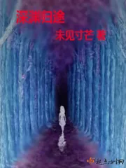 《深渊归途》小说封面