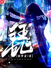 《狂乱》小说封面