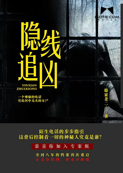 《隐线追凶》小说封面