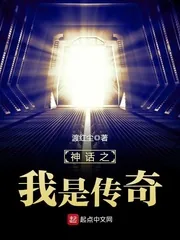 《神话之我是传奇》小说封面