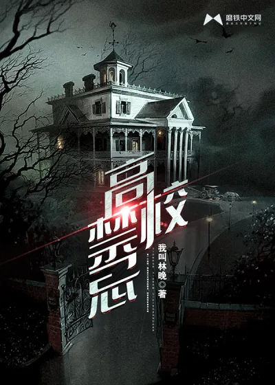 《高校禁忌》小说封面