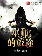 《无限之巫师的旅途》小说封面