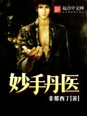 《妙手丹医》小说封面