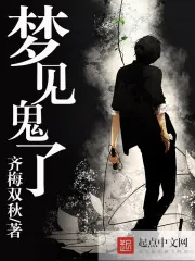 《梦见鬼了》小说封面